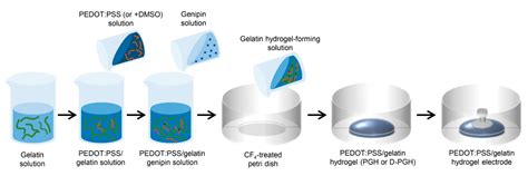  Gelatin在生物材料領域的應用：可生物降解的奇蹟！